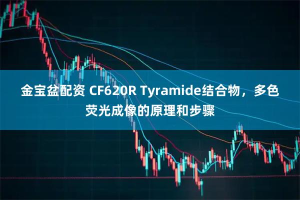 金宝盆配资 CF620R Tyramide结合物，多色荧光成像的原理和步骤