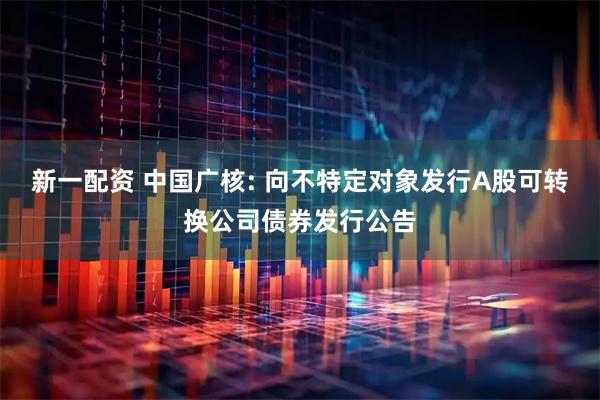 新一配资 中国广核: 向不特定对象发行A股可转换公司债券发行公告